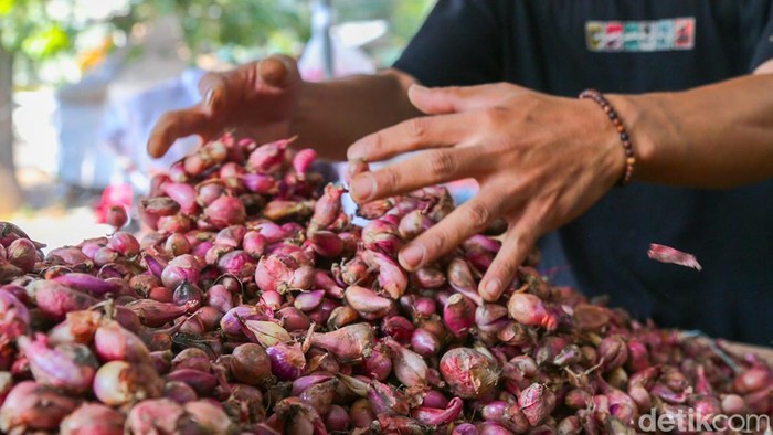Harga Pangan di Tangsel Meroket Jelang Idul Adha, Pedagang Menjerit Harga sejumlah bahan pangan di pasar tradisional wilayah Tangerang Selatan (Tangsel) mulai mengalami kenaikan signifikan menjelang Hari Raya Idul Adha 1447 Hijriah. Kenaikan nilai tersebut dikeluhkan para pedagang maupun pembeli lantaran terjadi pada sejumlah komoditas utama nan banyak dibutuhkan masyarakat.