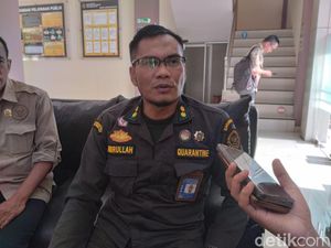 26.979 Sapi NTB Dikirim ke Jabodetabek untuk Kurban 2026