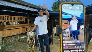 Cara Unik Perternak di Kota Malang Jual Kambing Kurban