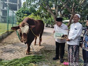Menko Zulhas Serahkan Sapi Kurban 1,1 Ton ke Ponpes Bumi Sholawat Sidoarjo