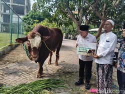 Menko Zulhas Serahkan Sapi Kurban 1,1 Ton ke Ponpes Bumi Sholawat Sidoarjo