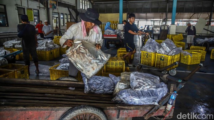 Aktivitas lelang ikan berjalan ramai di area Pelabuhan Muara Angke, Jakarta Utara, Senin (25/5/2026). Pedagang, nelayan, dan pembeli memadati tempat pelelangan sejak pagi hari.