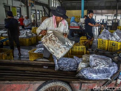 Muara Angke Bergeliat, KKP Bidik 10,57 Juta Ton Ikan