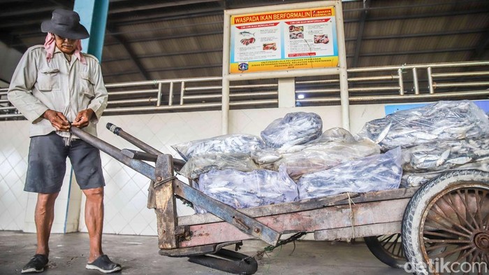 Muara Angke Bergeliat, KKP Bidik 10,57 Juta Ton Ikan Aktivitas lelang ikan berjalan ramai di area Pelabuhan Muara Angke, Jakarta Utara, Senin (25/5/2026). Pedagang, nelayan, dan pembeli memadati tempat pelelangan sejak pagi hari.