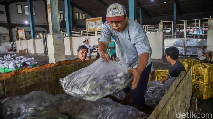 Muara Angke Bergeliat, KKP Bidik 10,57 Juta Ton Ikan Aktivitas lelang ikan berjalan ramai di area Pelabuhan Muara Angke, Jakarta Utara, Senin (25/5/2026). Pedagang, nelayan, dan pembeli memadati tempat pelelangan sejak pagi hari.