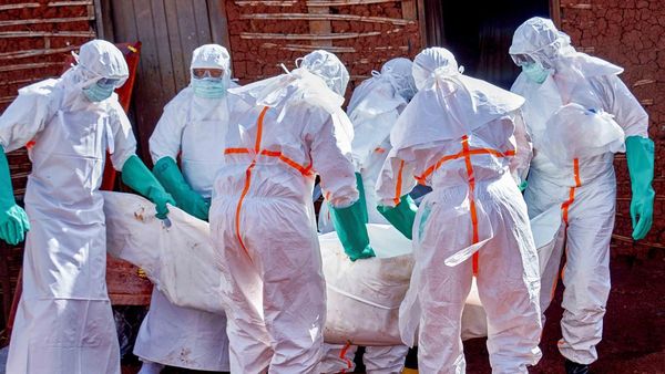 Palang Merah dan Tenaga Medis Berjuang Hentikan Penyebaran Ebola