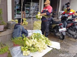 Geliat Pedagang Cangkang Ketupat di Tasikmalaya Jelang Idul Adha