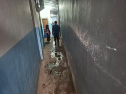 Heboh Ular Masuk Mess SPPG di Kuningan