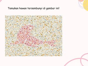 Kejelian Diuji dalam Permainan Ini, Kalau Tak Buta Warna Harusnya Gampang Banget