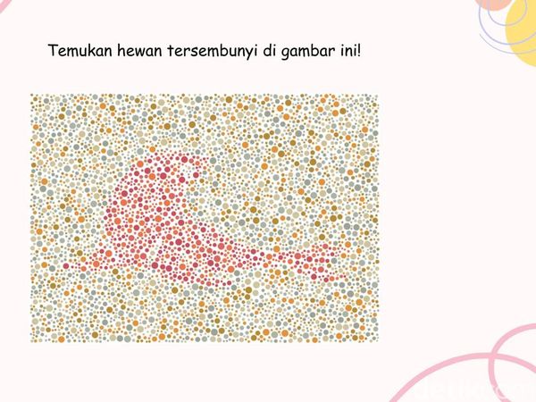 Kejelian Diuji dalam Permainan Ini, Kalau Tak Buta Warna Harusnya Gampang Banget
