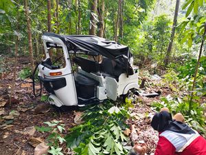 Bajaj Disopiri Nenek di Bantul Nyungsep ke Kebun, WNA Australia Jadi Korban