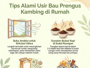 Ini Cara Ampuh Hilangkan Bau Prengus di Rumah Usai Kurban
