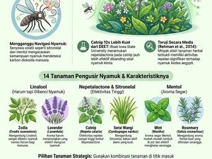 Infografis: 14 Tanaman Pengusir Nyamuk yang Cocok Ditanam di Rumah