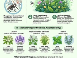 Infografis: 14 Tanaman Pengusir Nyamuk yang Cocok Ditanam di Rumah