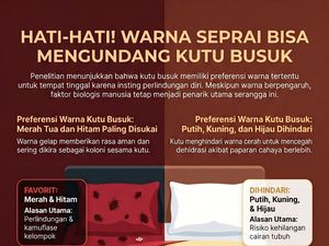Hati-hati! Warna Seprai Ini Bisa Undang Kutu Busuk Bersarang di Kasur