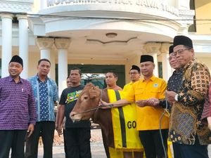 Kurban dari Bahlil Disalurkan Golkar ke PWNU-PW Muhammadiyah Jatim