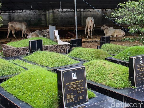 Lahan Pemakaman Disulap Jadi Lapak Jualan Hewan Kurban