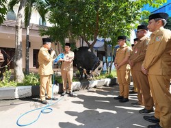 Tito Karnavian Serahkan 360 Ekor Hewan Kurban Kemendagri dan BNPP