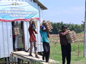 3.000 Telur Berhasil Dipanen di Bekasi, Polda Metro Jaya Salurkan ke SPPG