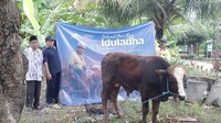 Tips Menabung Beli Hewan Kurban untuk Idul Adha Tahun Depan