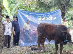 Sambut Idul Adha 1447 H, PT BSI Salurkan 72 Ekor Hewan Kurban