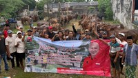 PDIP Jatim Salurkan 468 Sapi ke Ponpes dan Kampung, Ini Pesan yang Dibawa