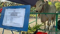 Gerindra soal 1.098 Sapi Kurban Presiden dari APBN: Tak Langgar Aturan