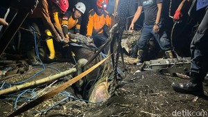 Damkar Evakuasi Sapi Kurban Nyemplung Septic Tank di Mojokerto