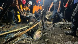 Damkar Evakuasi Sapi Kurban Nyemplung Septic Tank di Mojokerto