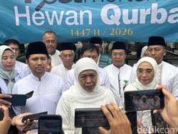 Khofifah Ungkap Penjualan Hewan Kurban Saat Idul Adha di Jatim Meningkat