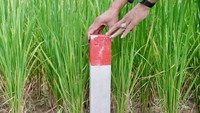 Wajib Tahu! Ini Pentingnya Pasang Patok Agar Tanah Nggak Mudah Dicaplok Orang