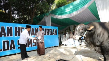 Polda Sumsel Salurkan 579 Hewan Kurban hingga ke Pelosok