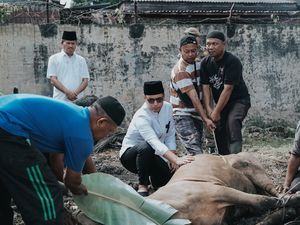 Walkot Medan Laksanakan Penyembelihan Hewan Qurban di Masjid Al-Muttaqin