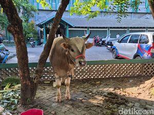 21 Hewan Kurban Disembelih di Masjid Al Markaz Makassar: 17 Sapi-4 Kambing
