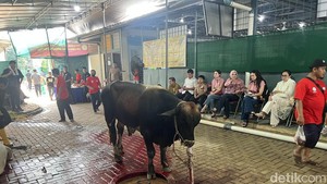 Masjid Raya Pondok Indah Jaksel Terima Kurban 10 Sapi dan 35 Kambing