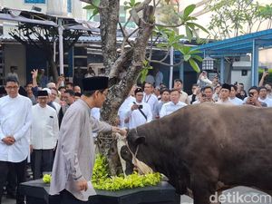 Video: Purbaya Kurban Sapi Jumbo, Dananya dari Bonus dan Tabungan Haji