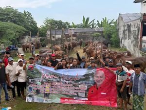 DPD PDIP Jatim Bagikan 485 Sapi Kurban ke Warga Miskin-Panti Asuhan