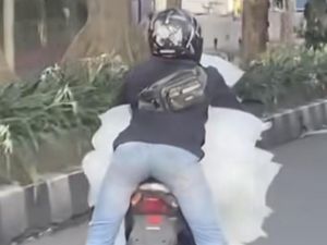 Aksi Ekstrem Pemotor Bawa Es Batu Viral di Medsos
