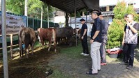 Polres Kepulauan Seribu Salurkan 58 Hewan Kurban ke Warga Pulau