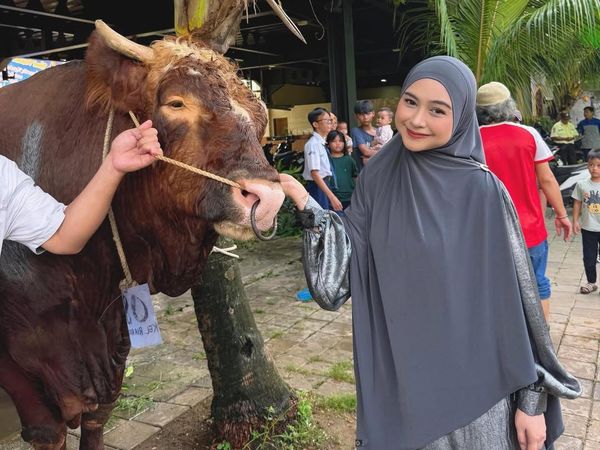 Sapi Kurban Para Artis