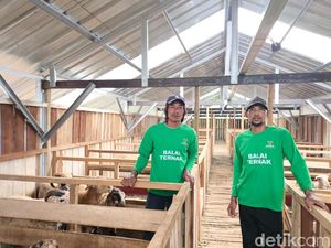 Cerita Pemberdayaan Ekonomi Warga Sayana Kuningan Lewat Balai Ternak