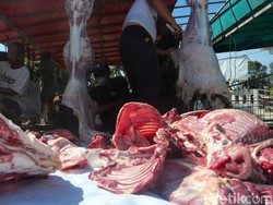 Nanas dan Daun Pepaya Bisa Empukkan Daging Alot? Begini Kata Pakar Tekpang IPB
