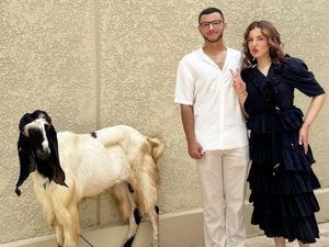 Tasya Farasya Dapat Kado Kambing Saat Ultah ke-34