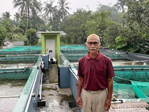 Cerita Ruskandar Dibantu BRI, Usaha Ikan Bioflok Topang Ekonomi di Masa Pensiun
