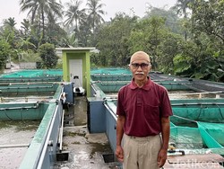 Cerita Ruskandar Dibantu BRI, Usaha Ikan Bioflok Topang Ekonomi di Masa Pensiun