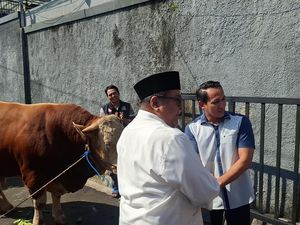 Ketua RT Ungkap Antusiasme Warga Gandaria Dapat Sapi 1 Ton dari Rano Karno