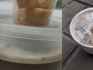 Baru 5 Suap Sudah Habis, Porsi Sup Restoran Ini Tuai Protes
