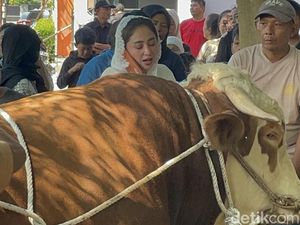 Haru Dewi Perssik Lihat Pemotongan 2 Sapi Jumbo untuk Kurban
