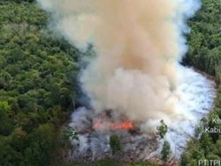 Lahan 5 Hektare di 3 Daerah Sumsel Terbakar, Satgas Udara-Darat Dikerahkan