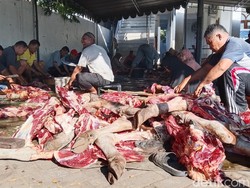 Hukum Menjual Daging Kurban: Bolehkah? Simak Penjelasan Ulama